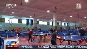 家中放一张乒乓球台
